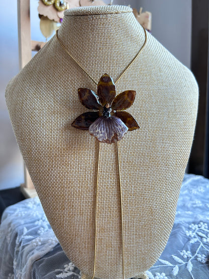 Orquídea zygopetalum