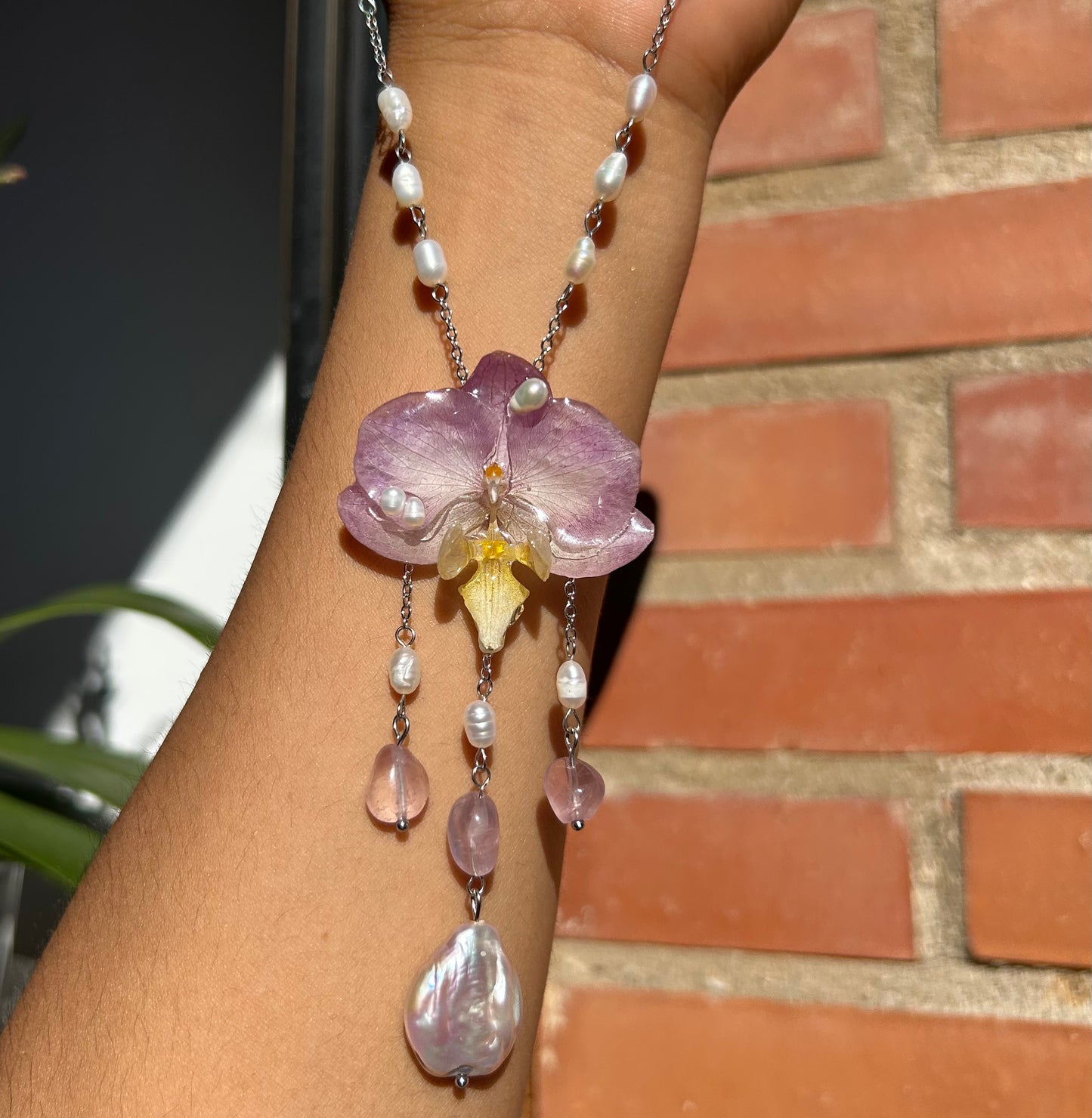 Sweet mini orchid