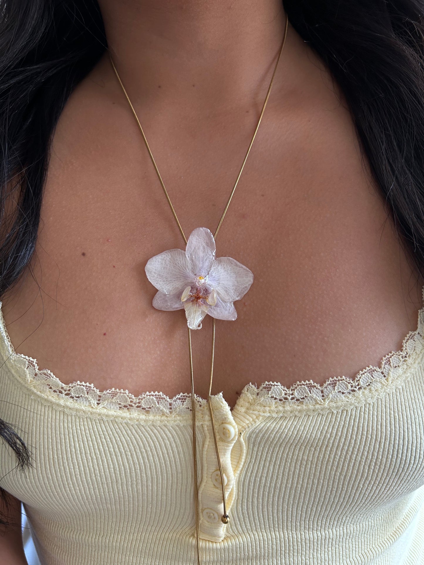 Orchid mini white