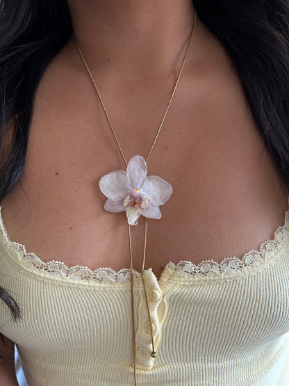 Orchid mini white