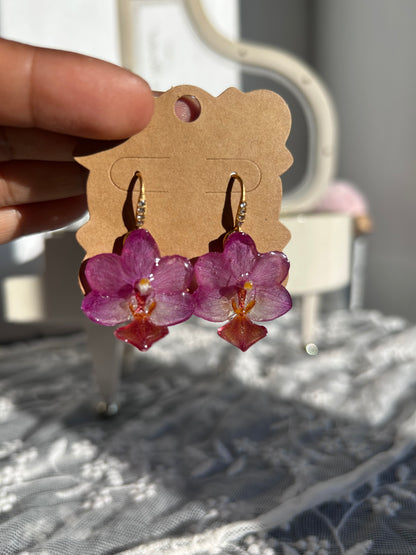 Orchid súper mini fucshia