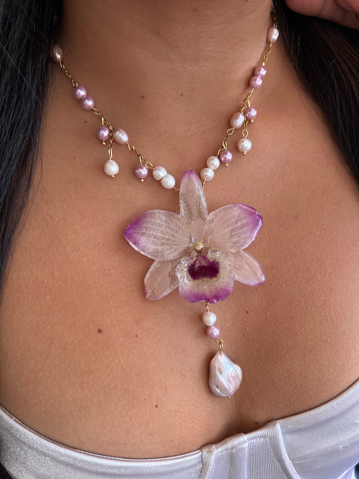 Sweet pink dendrobium orchid