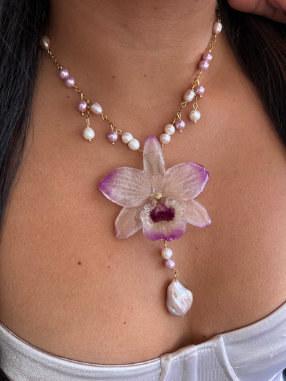 Sweet pink dendrobium orchid