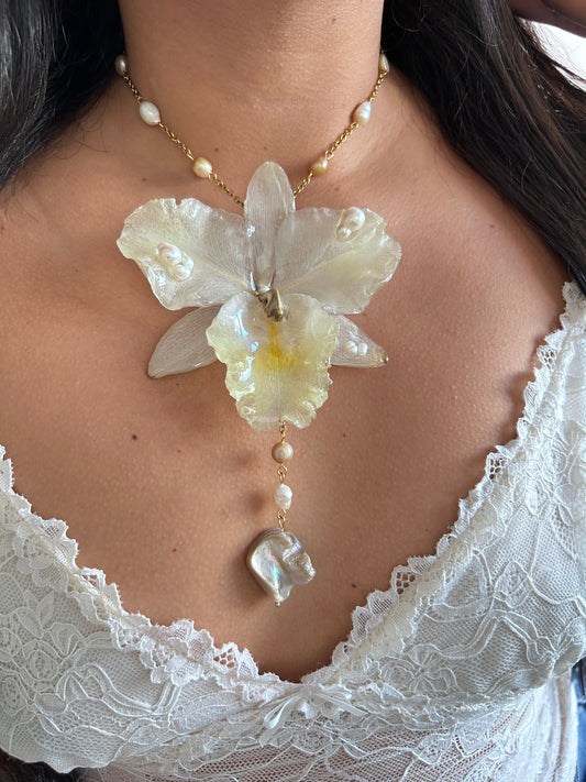 Grand Cattleya white