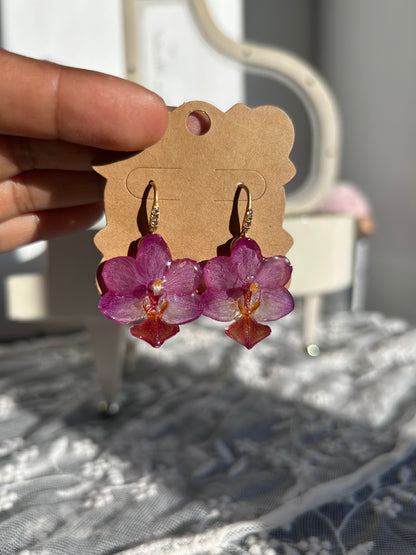 Orchid súper mini fucshia