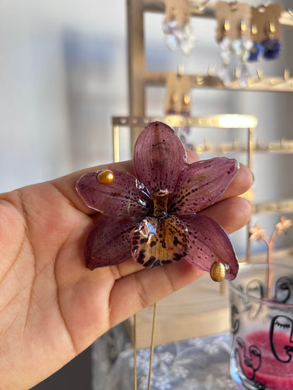 Gran Cymbidium