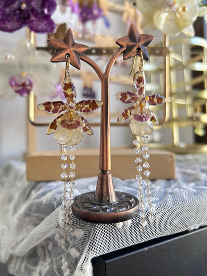 Mini oncidium
