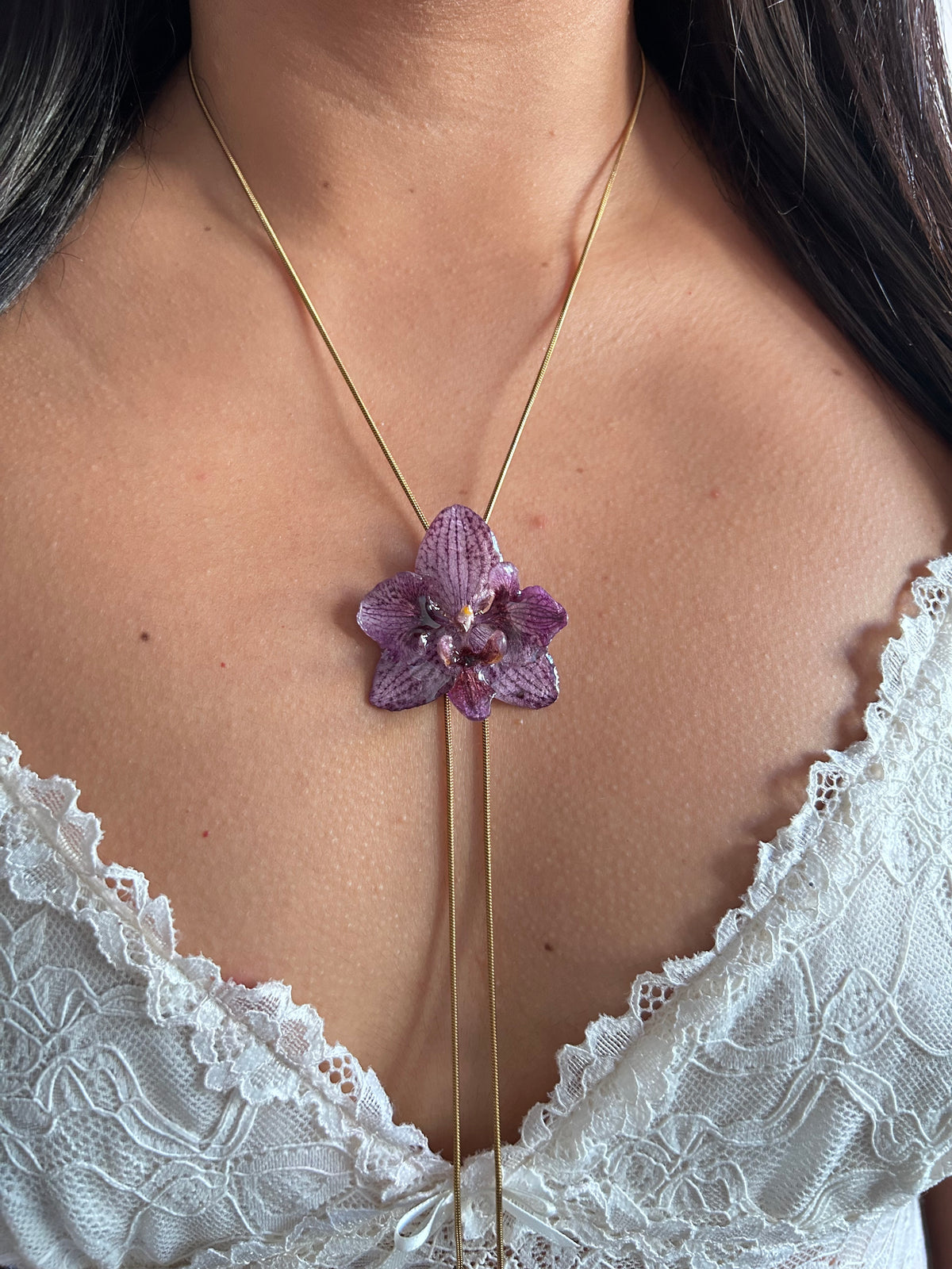 Phalaenopsis híbrida