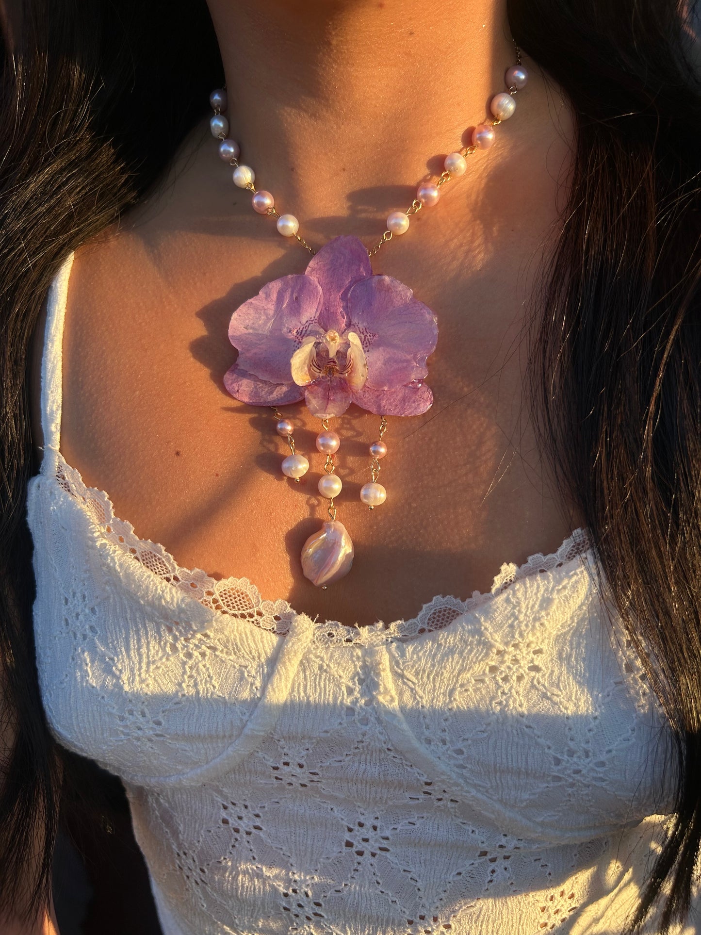Dulce lila Orchid