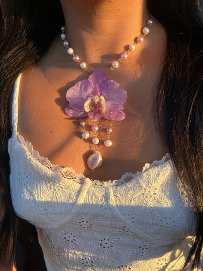 Dulce lila Orchid