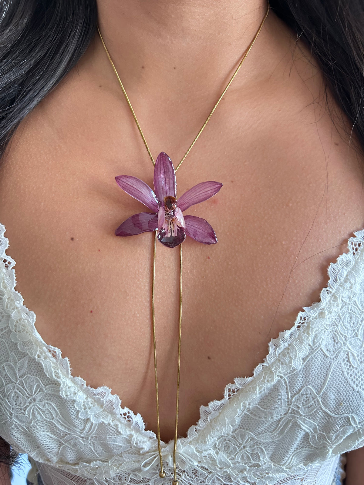 Cymbidium malva