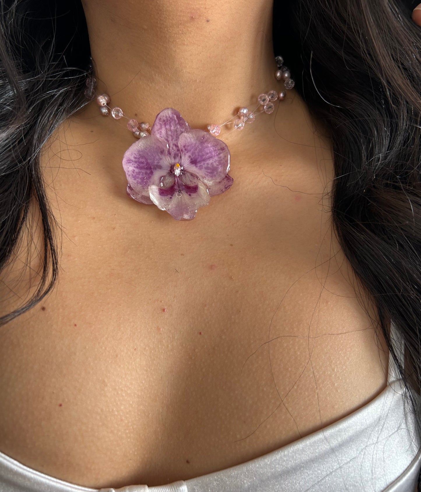 Lilac orchid glow