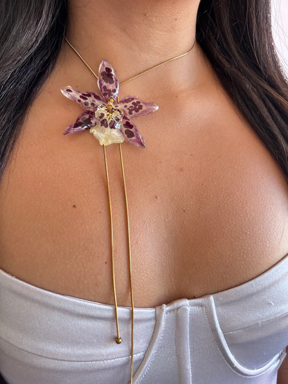 Beallara lariat