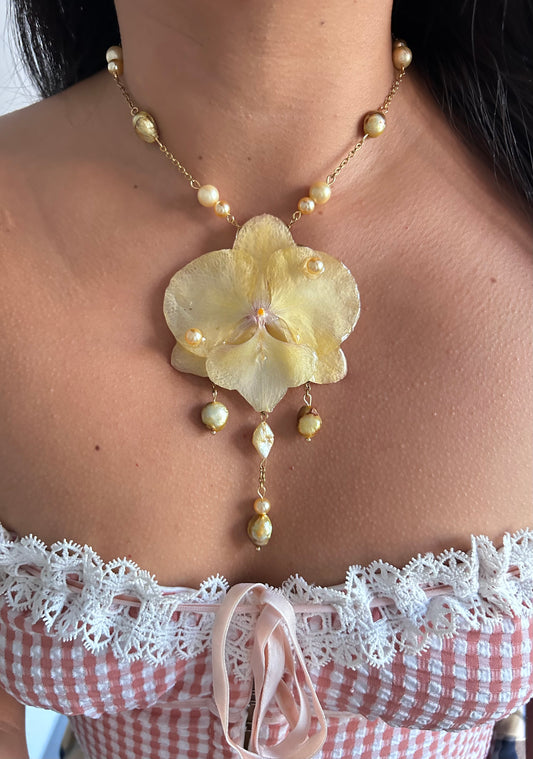 Eternal Spring Orchid