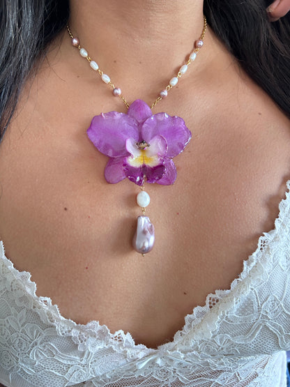 Reina Cattleya  fucsia