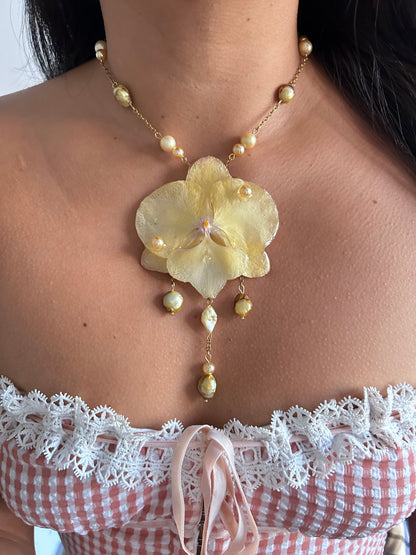Eternal Spring Orchid