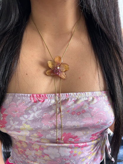 Orange orchid