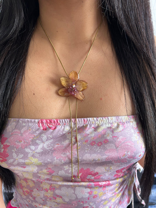 Orange orchid