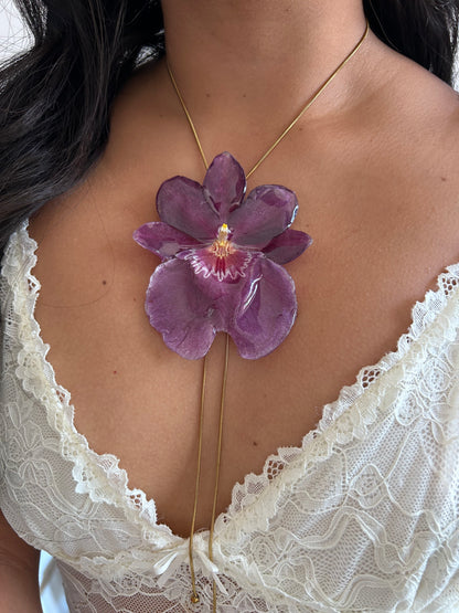 Gran Miltonia