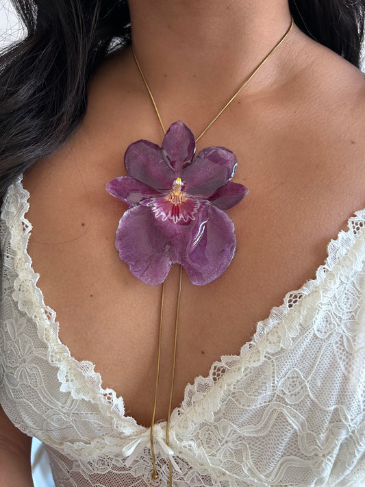 Gran Miltonia
