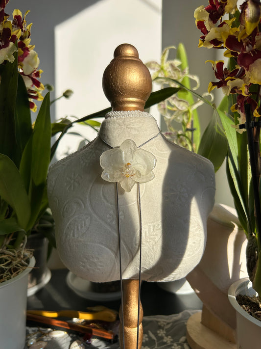 Orchid white