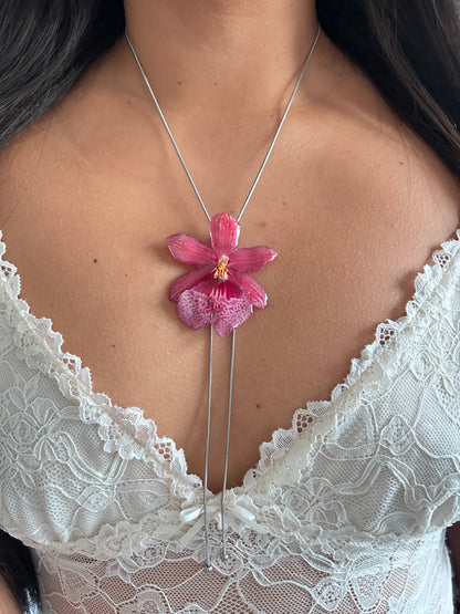 Nelly isler pink