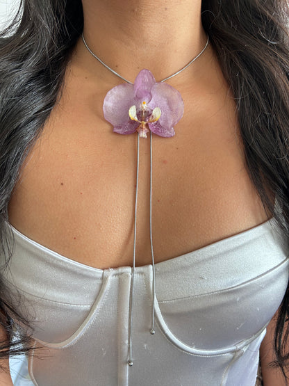 Grand Orchid lilac