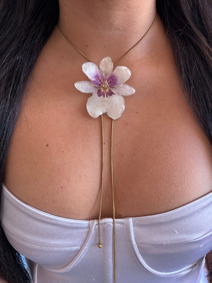 Orchid Miltionopsis white