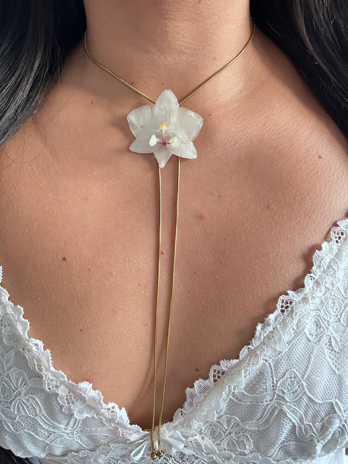 Orchid total white