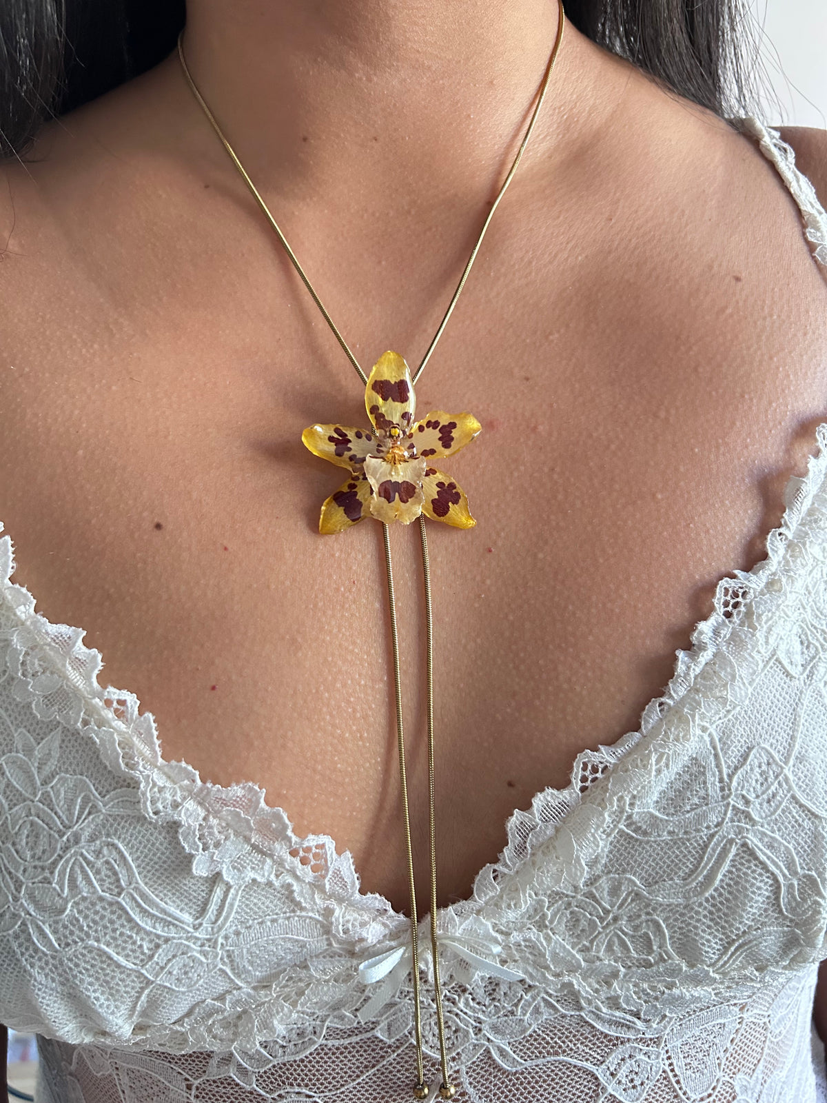Exotic orchid wild yellow