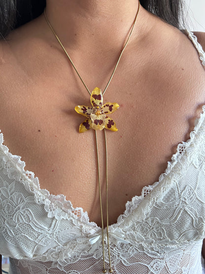 Exotic orchid wild yellow