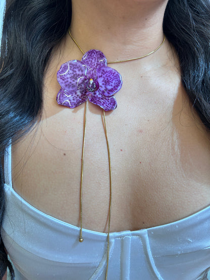 Grand Orchid moteada