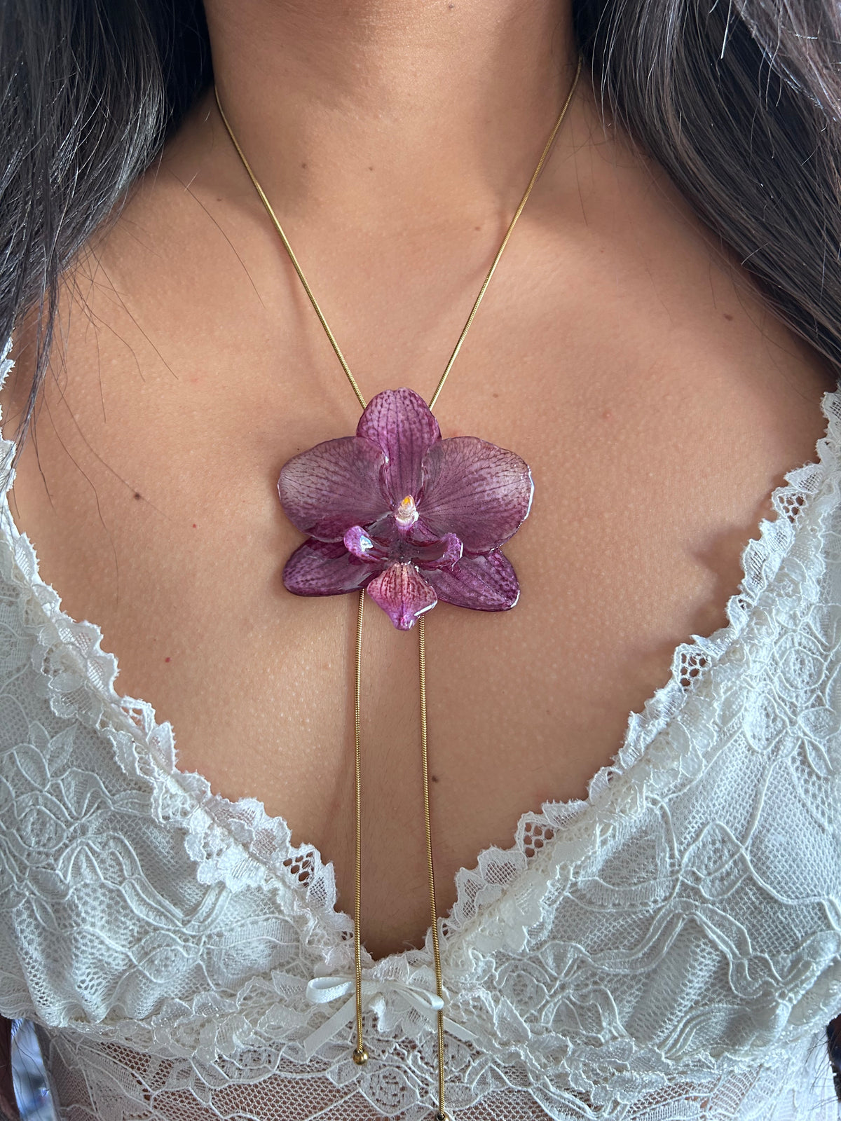 Phalaenopsis Malva