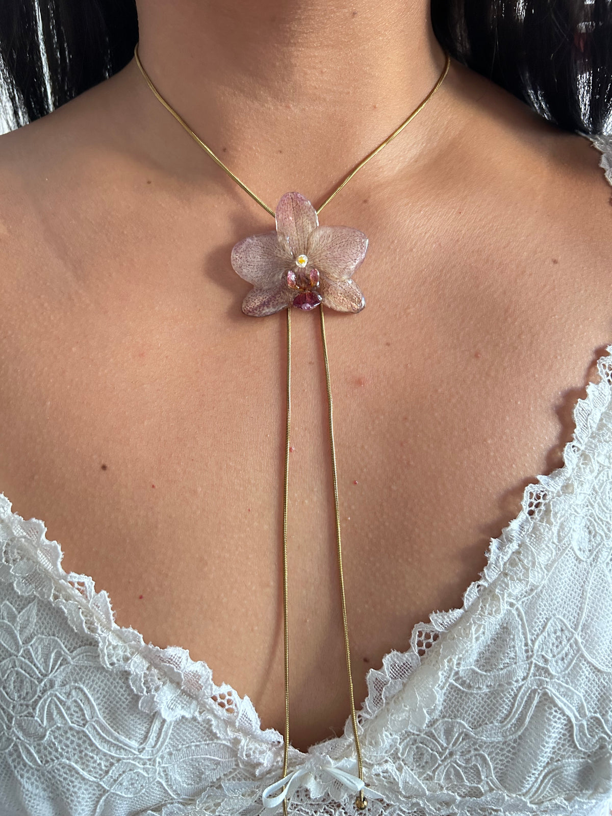 Phalaenopsis picosa