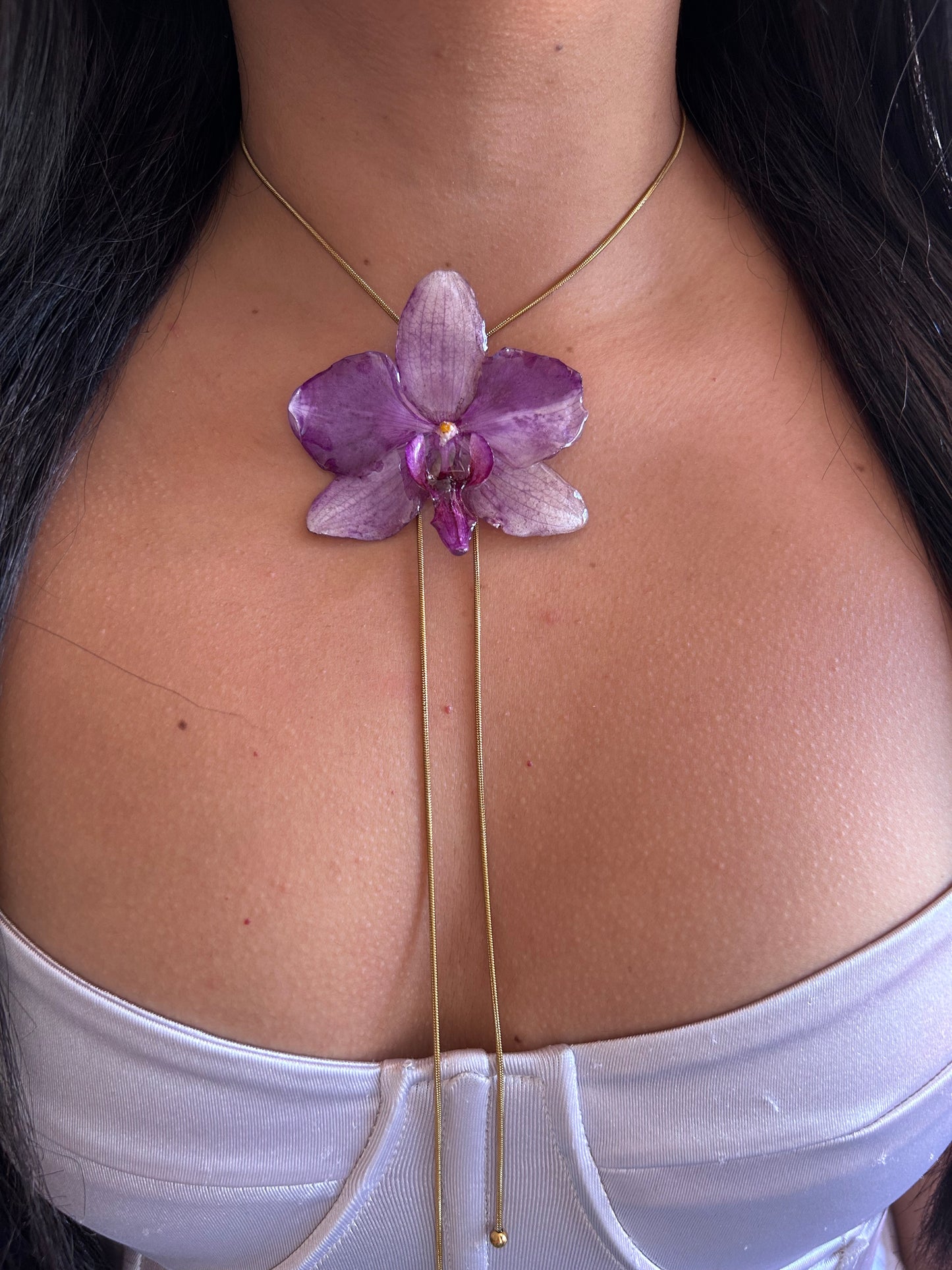 Grand Phalaenopsis purple
