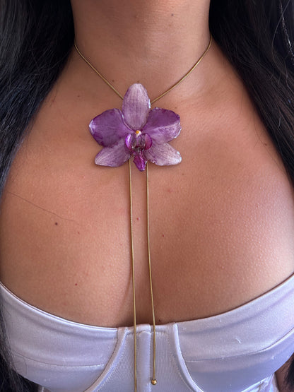 Grand Phalaenopsis purple