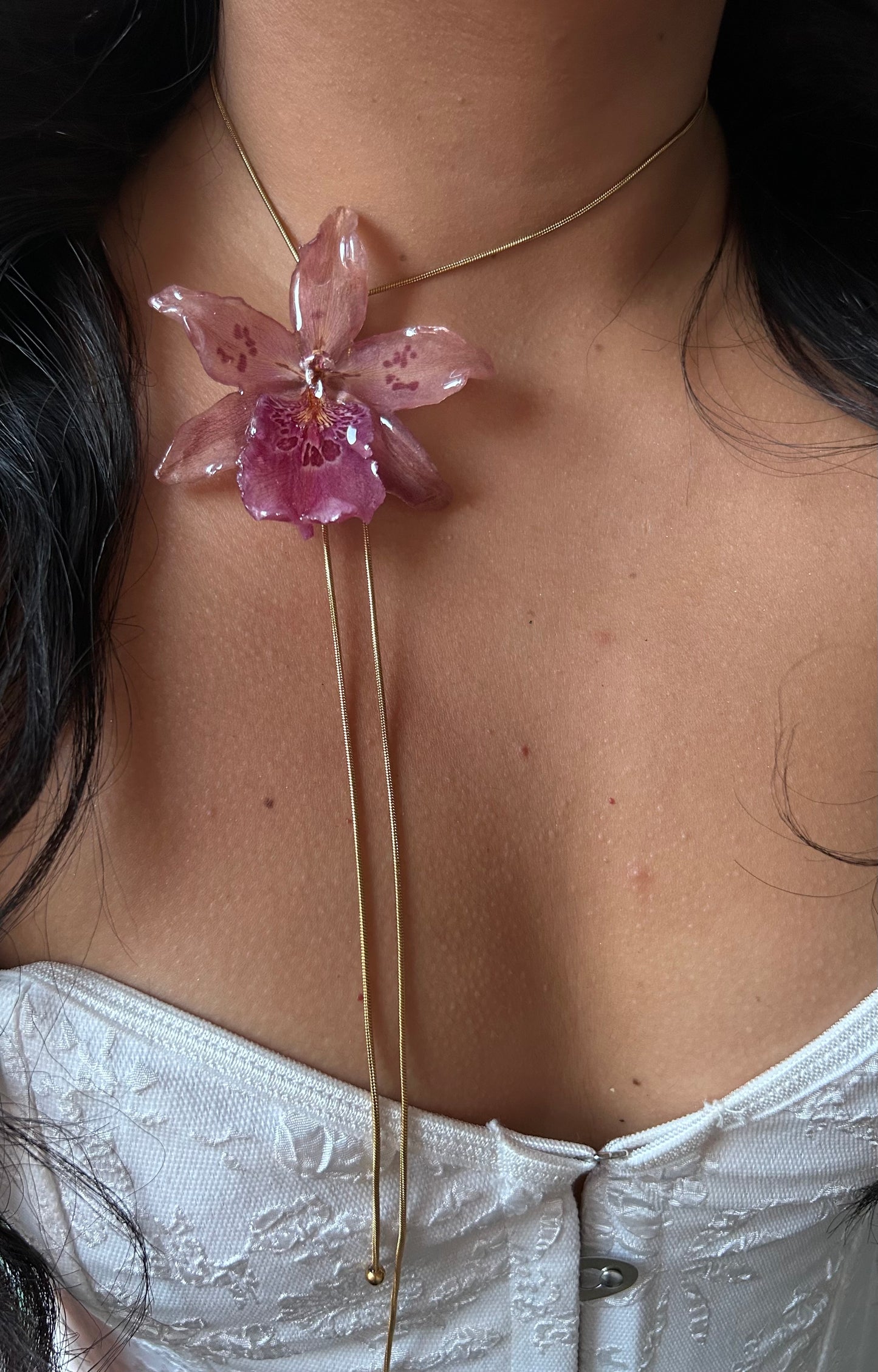 Orchid Beallara pink