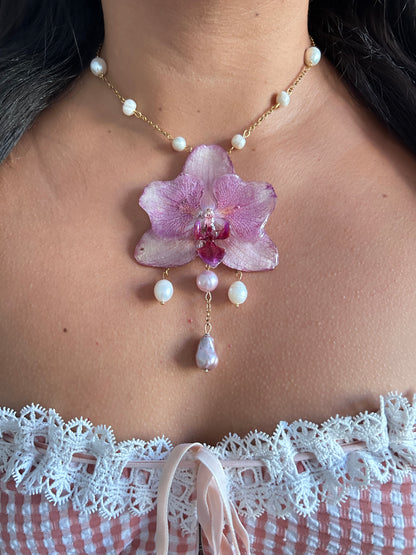 Tropical Orchid