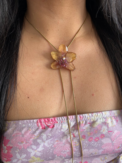 Orange orchid
