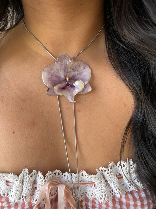 Grand Orchid