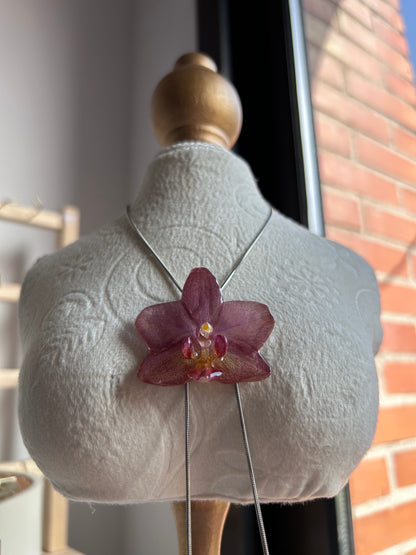 Orchid mini pink