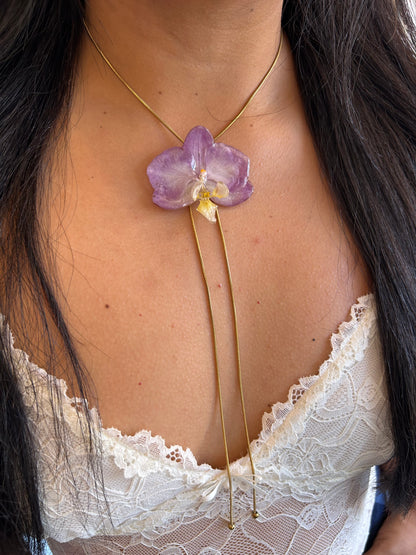 Sweet Orchid