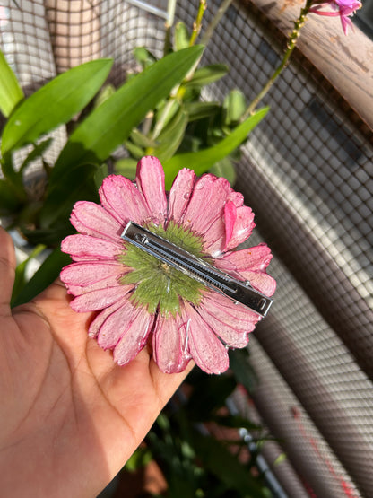 Hair clip Gerbera Fucsia