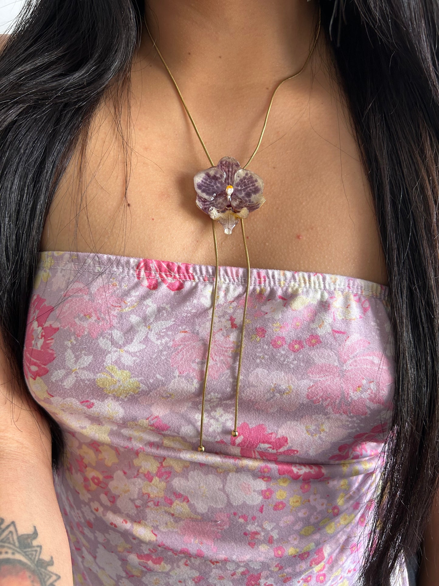 Purple orchid