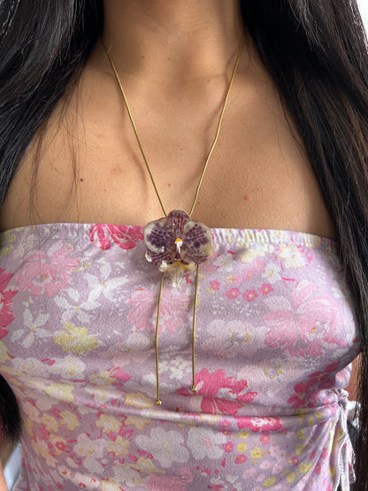 Purple orchid