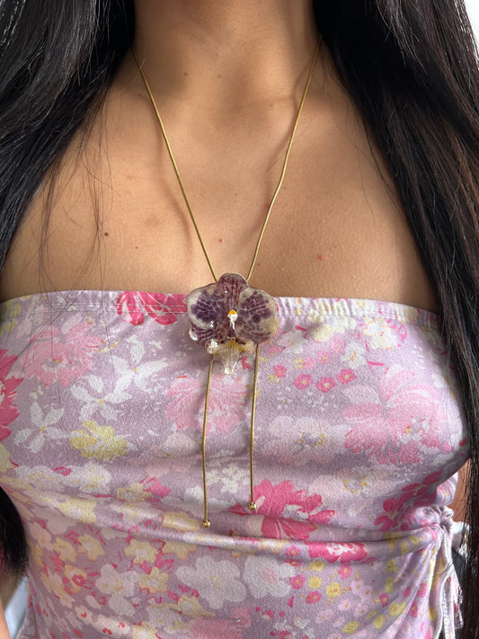 Purple orchid
