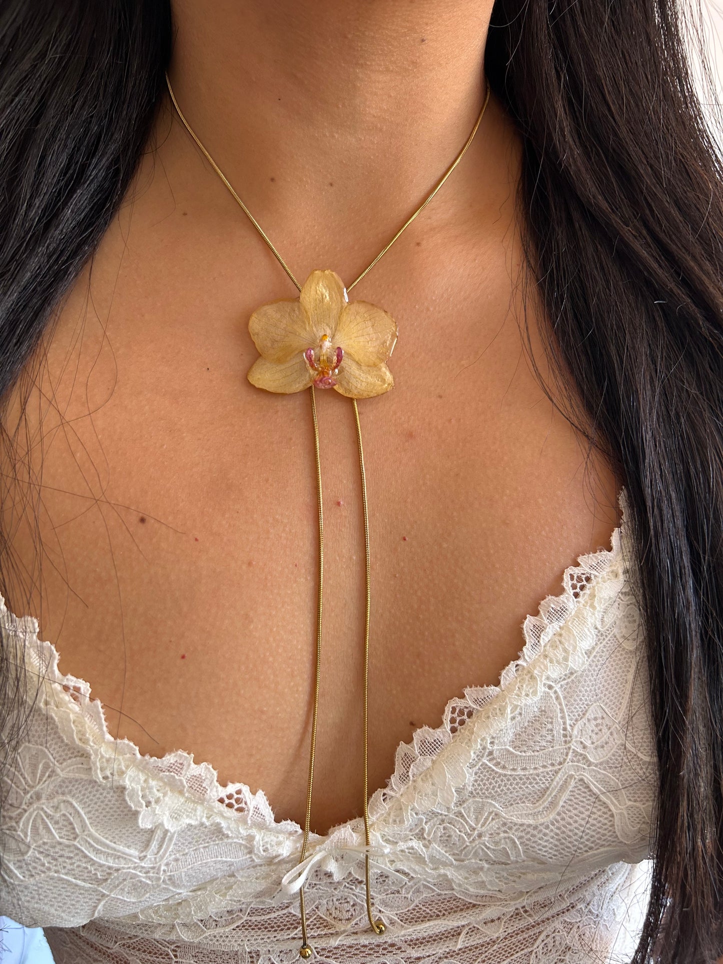 Orchid mini yellow