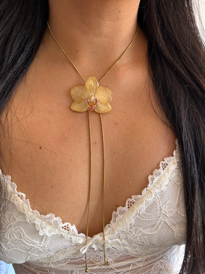 Orchid mini yellow