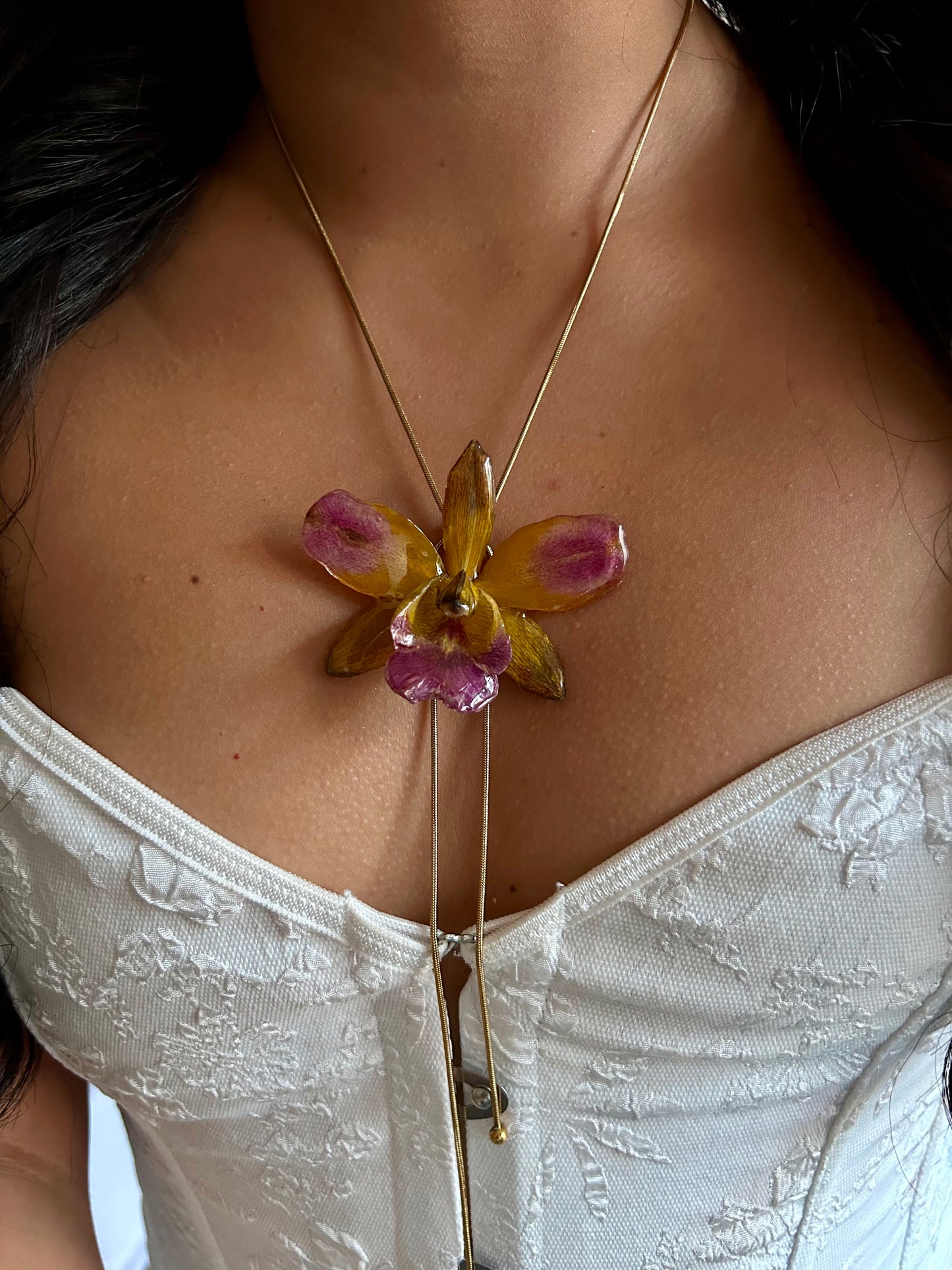 Cattleya