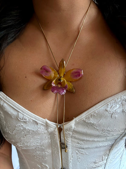Cattleya
